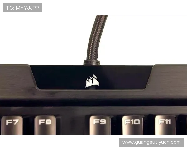 MK体育APP正式上线引领体育赛事新体验，用户体验全面升级