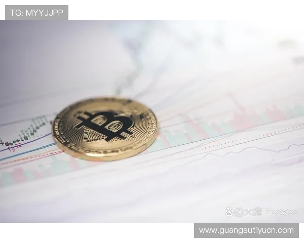 三亿电子在虚拟货币与区块链技术中的创新应用与行业前景