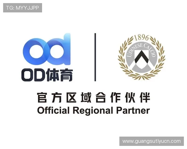 OD体育线上官网安全可靠的平台保障用户资金与信息安全为您打造放心的线上体育娱乐体验