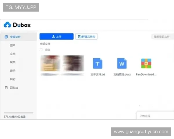 v体育官网入口网址官方地址安全性分析，保障用户账号信息安全的最佳实践